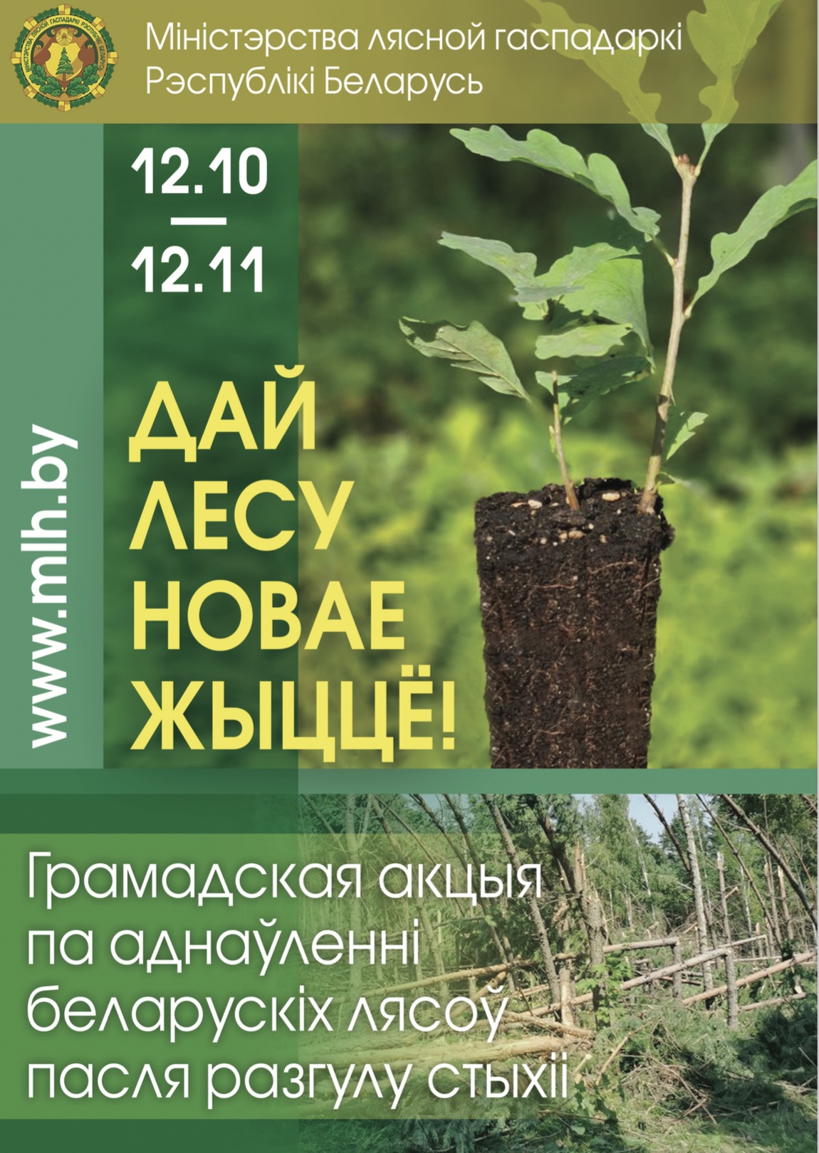 Дай лесу новае жыццё