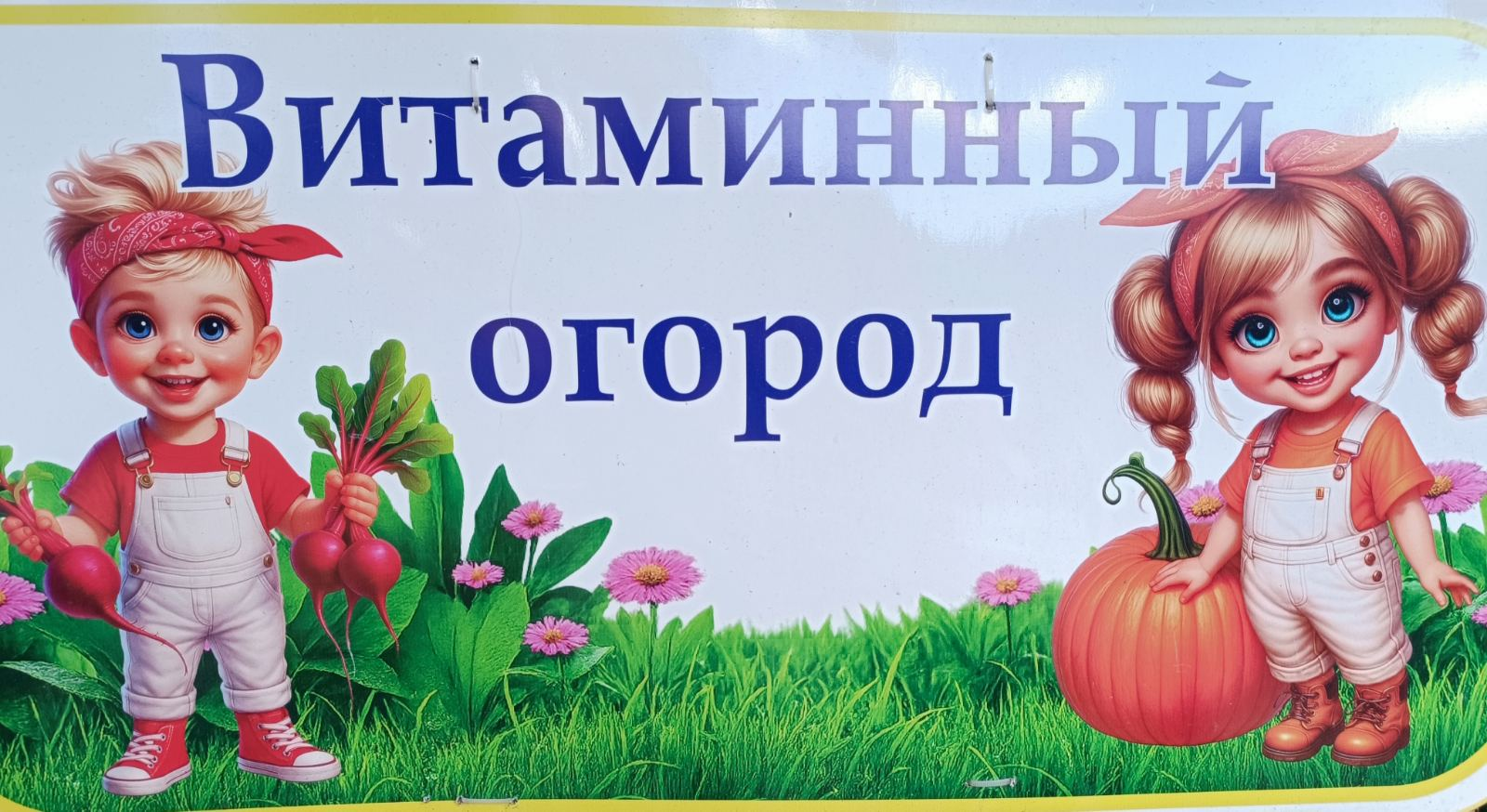 Наш витаминный огород
