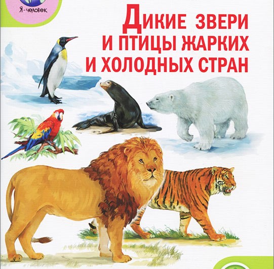 Животные жарких и холодных стран